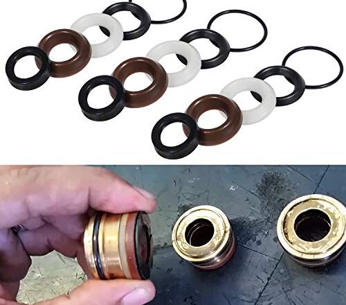 How To Remove Rmw Pressure Washer Pump Oil Pump Seals