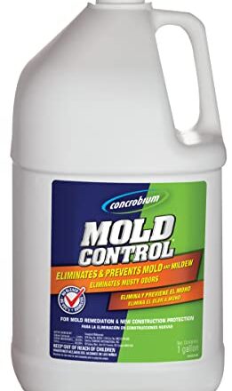 Can You Pressure Wash Mold Off Wood