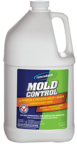Can You Pressure Wash Mold Off Wood