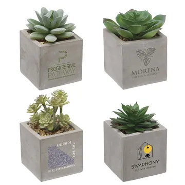 Custom Mini Faux Potted Succulent