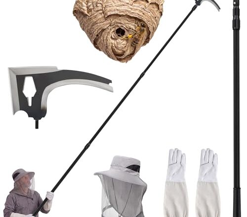Will A Pressure Washer Kill Wasps