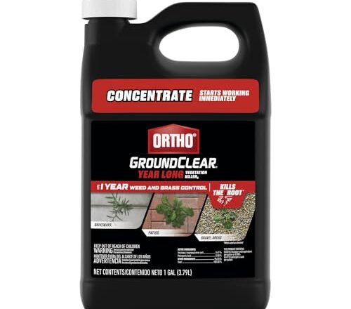 Will A Pressure Washer Remove Weeds From Pavers