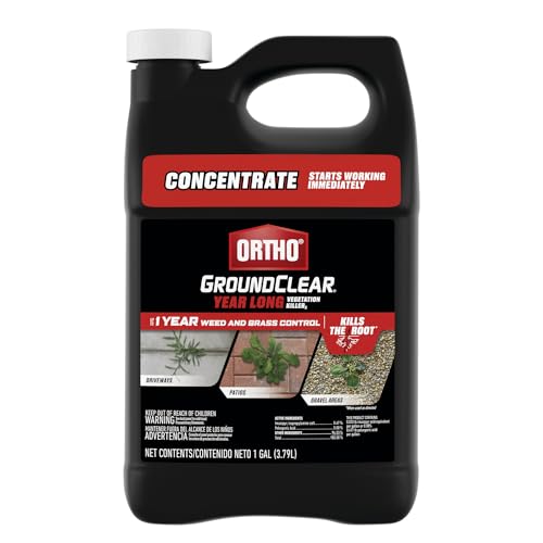 Will A Pressure Washer Remove Weeds From Pavers