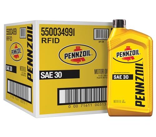 What Type Of Oil For A Ryobi Pressure Washer