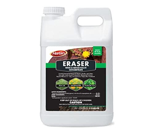 Does A Pressure Washer Get Rid Of Moss