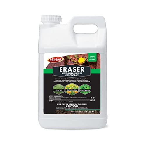 Does A Pressure Washer Get Rid Of Moss