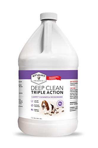 How To Wash Rug With Pressure Washer