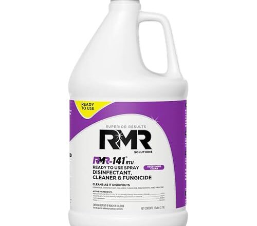Does Pressure Washing Remove Mold
