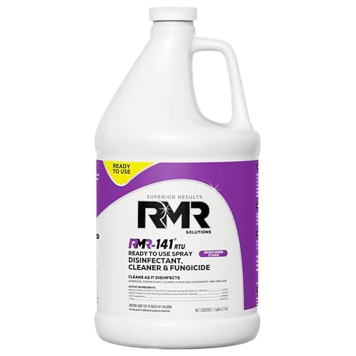 Does Pressure Washing Remove Mold