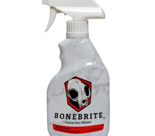 Can You Pressure Wash A Deer Skull