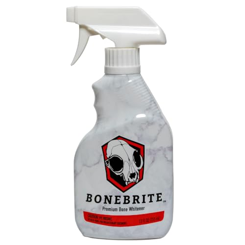 Can You Pressure Wash A Deer Skull
