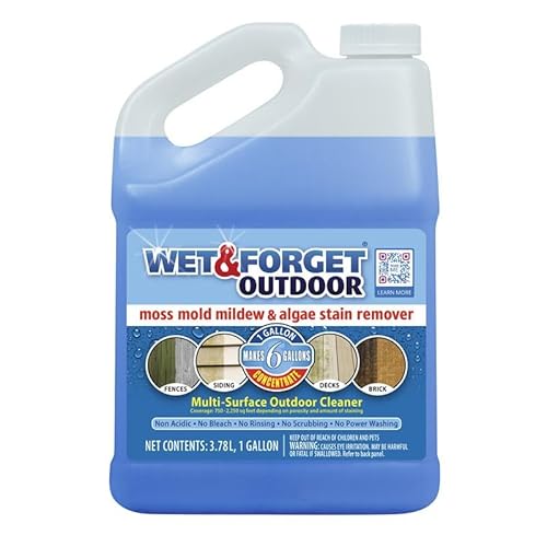 Can You Pressure Wash When It’s Raining