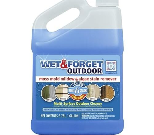 Does Pressure Washing Remove Moss